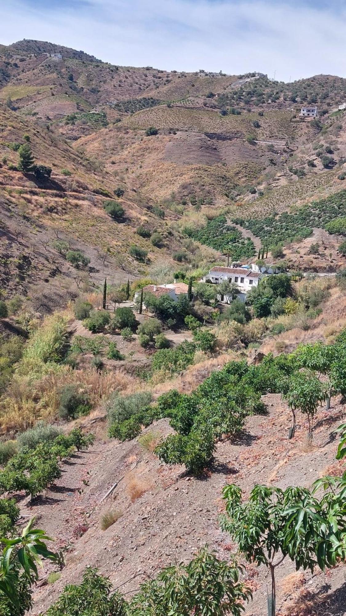 Hostal Cortijo Lagar de Luisa Borge Exterior foto