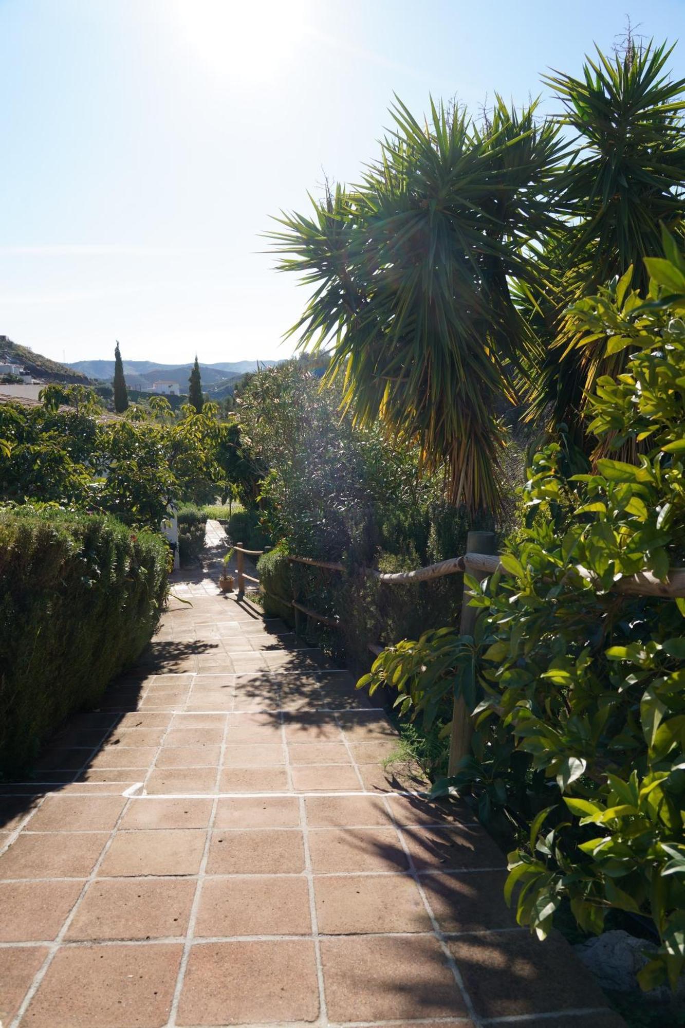Hostal Cortijo Lagar de Luisa Borge Exterior foto