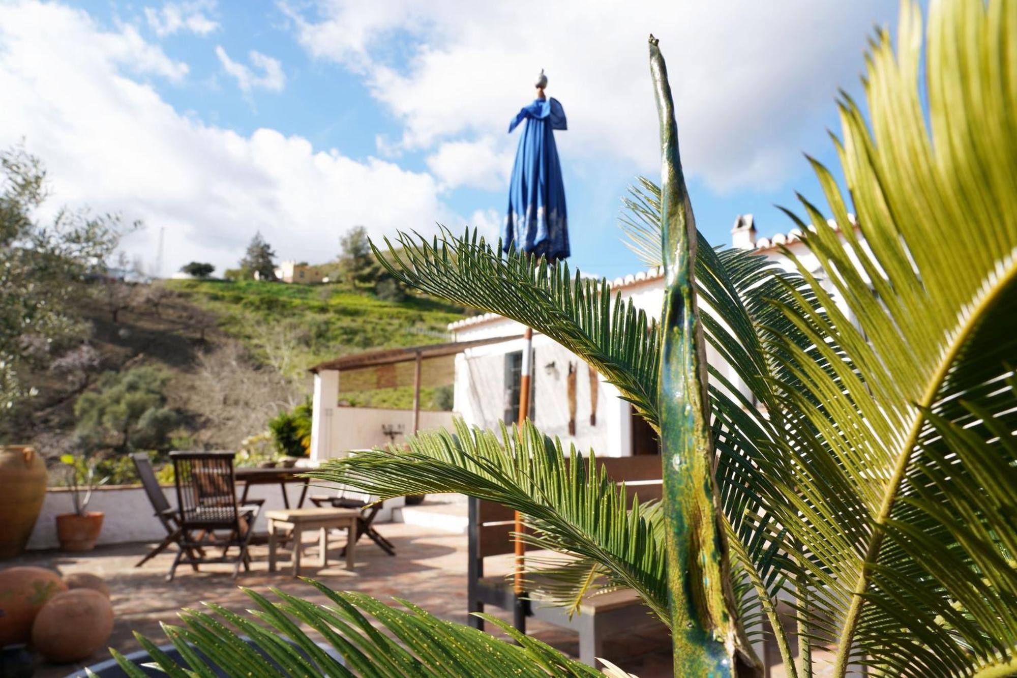 Hostal Cortijo Lagar de Luisa Borge Exterior foto