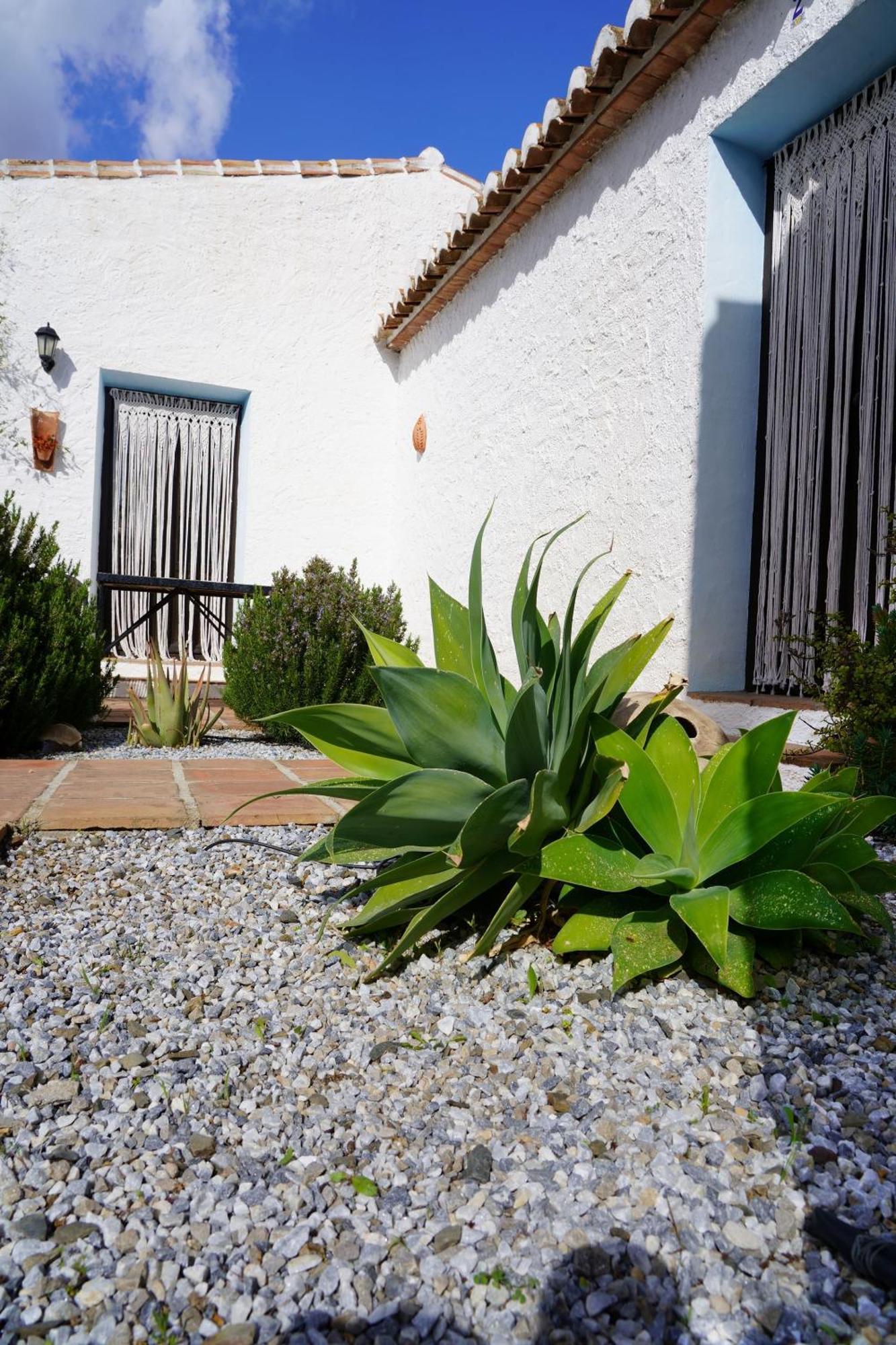 Hostal Cortijo Lagar de Luisa Borge Exterior foto