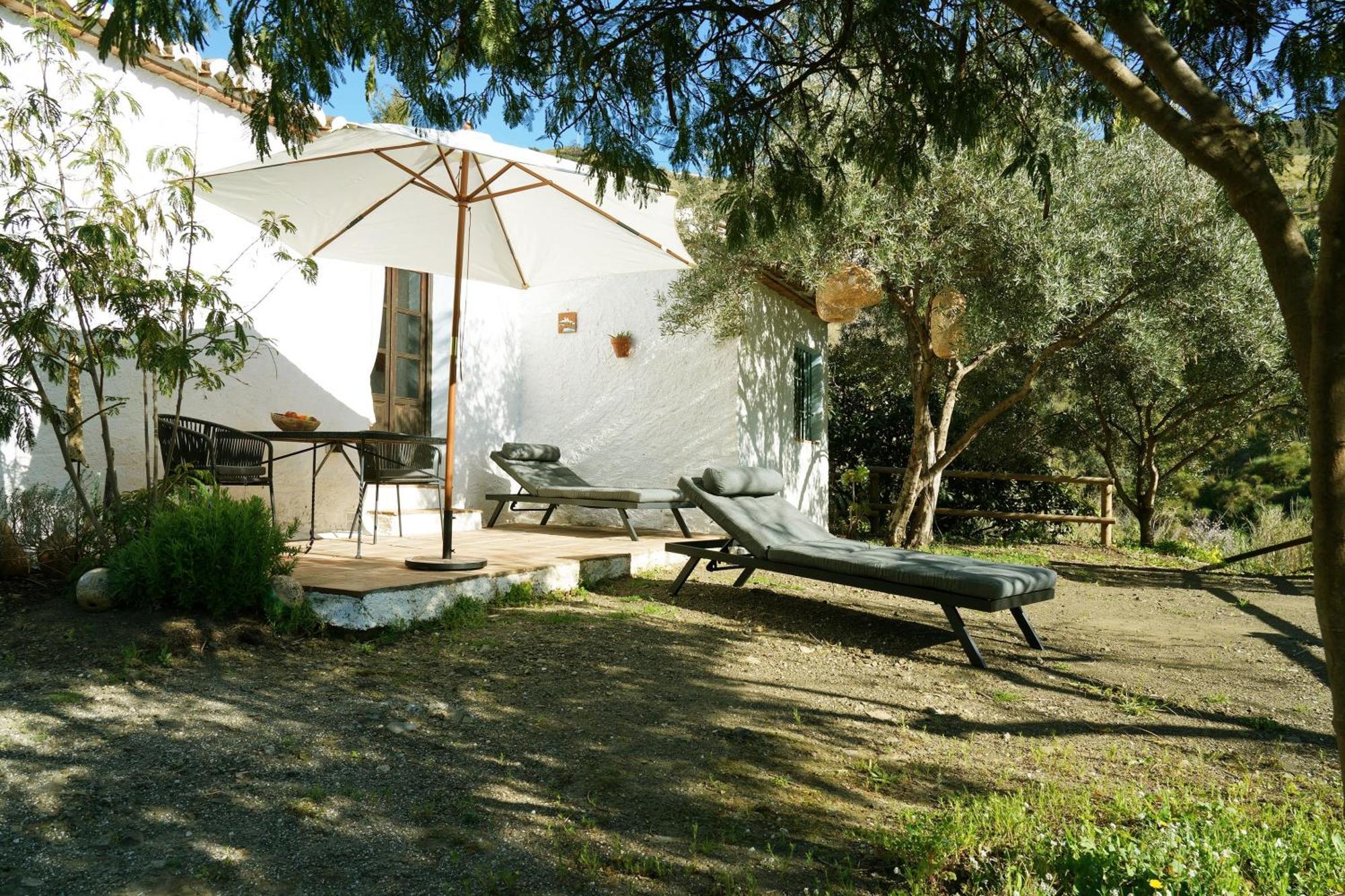 Hostal Cortijo Lagar de Luisa Borge Exterior foto