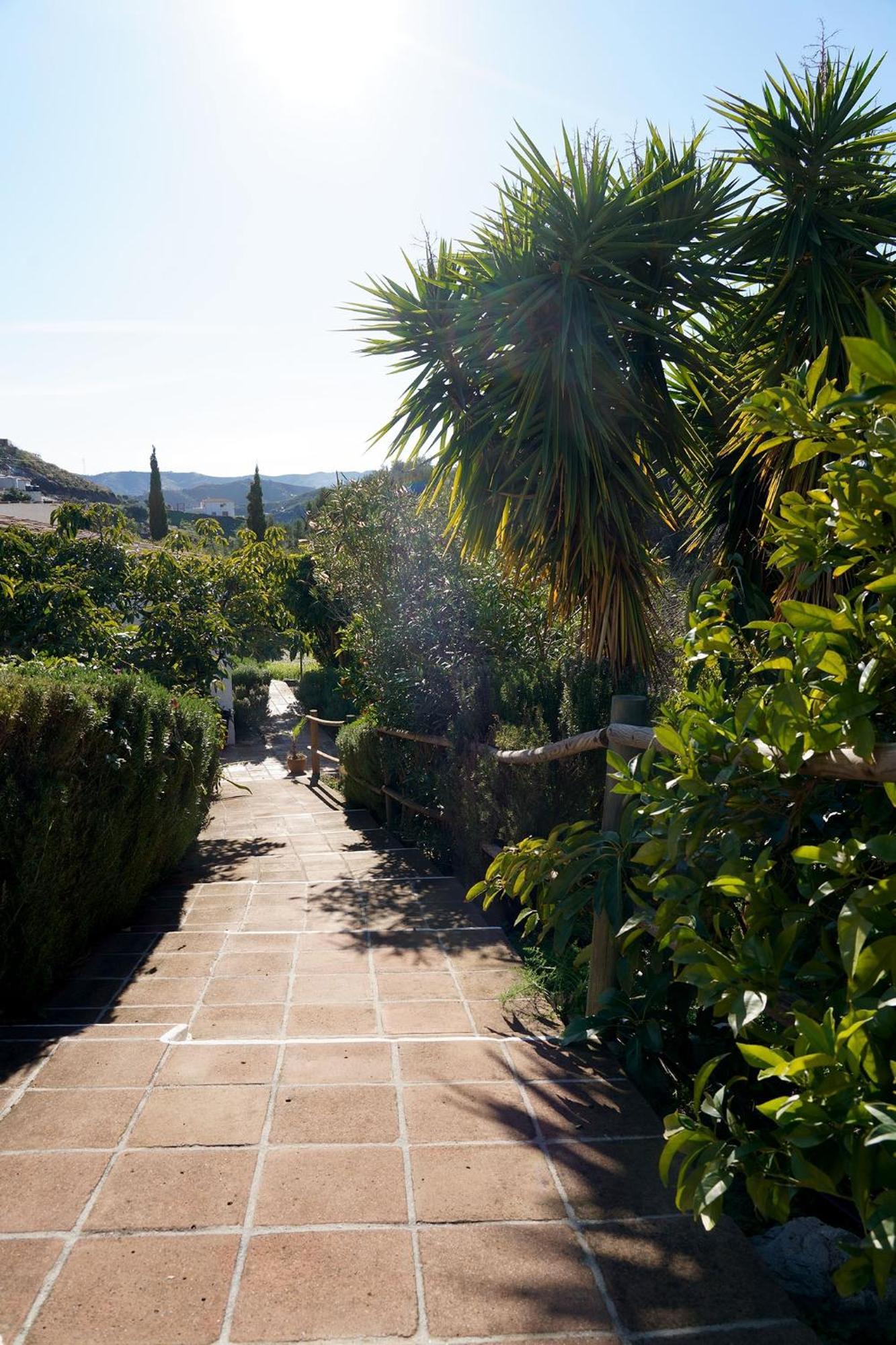 Hostal Cortijo Lagar de Luisa Borge Exterior foto