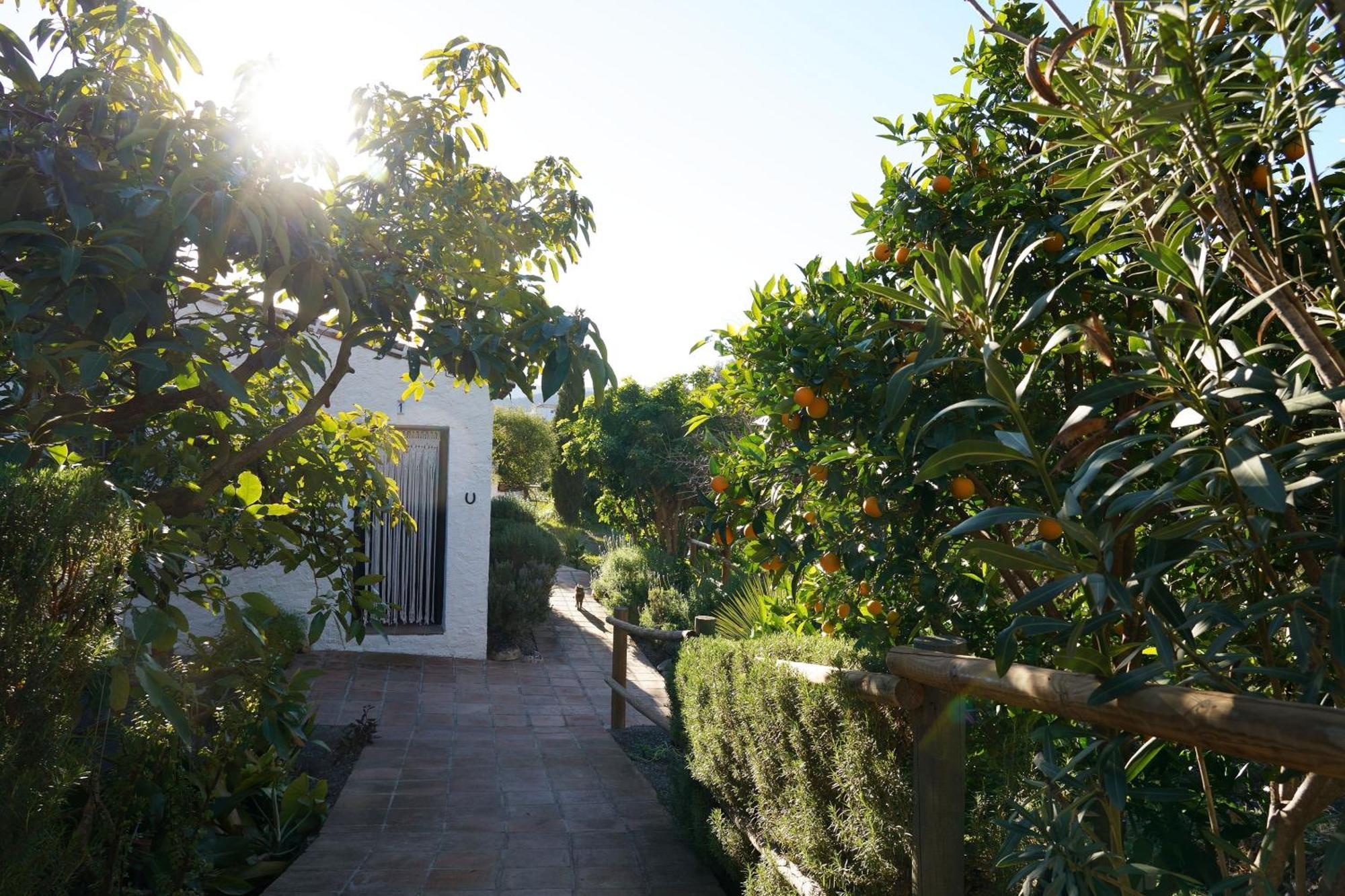 Hostal Cortijo Lagar de Luisa Borge Exterior foto