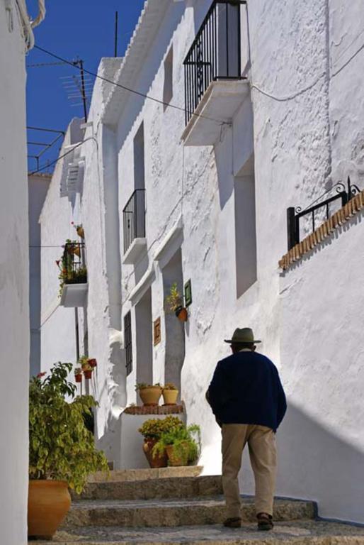 Cortijo Lagar de Luisa Hostal Borge Exterior foto